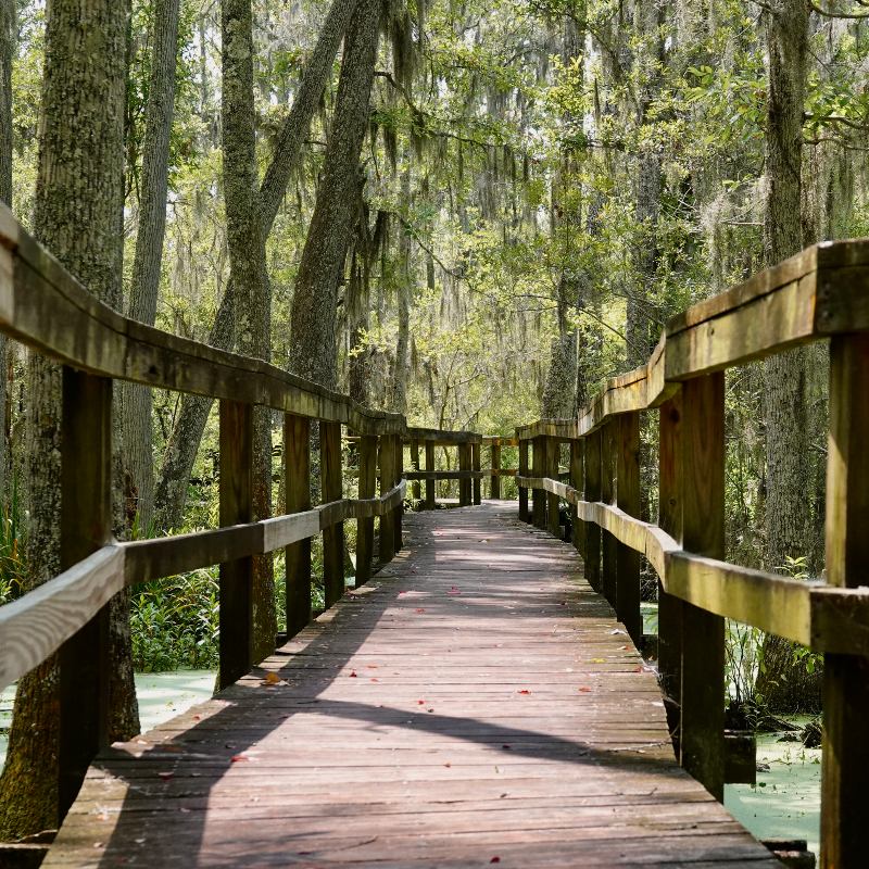 Boardwalk