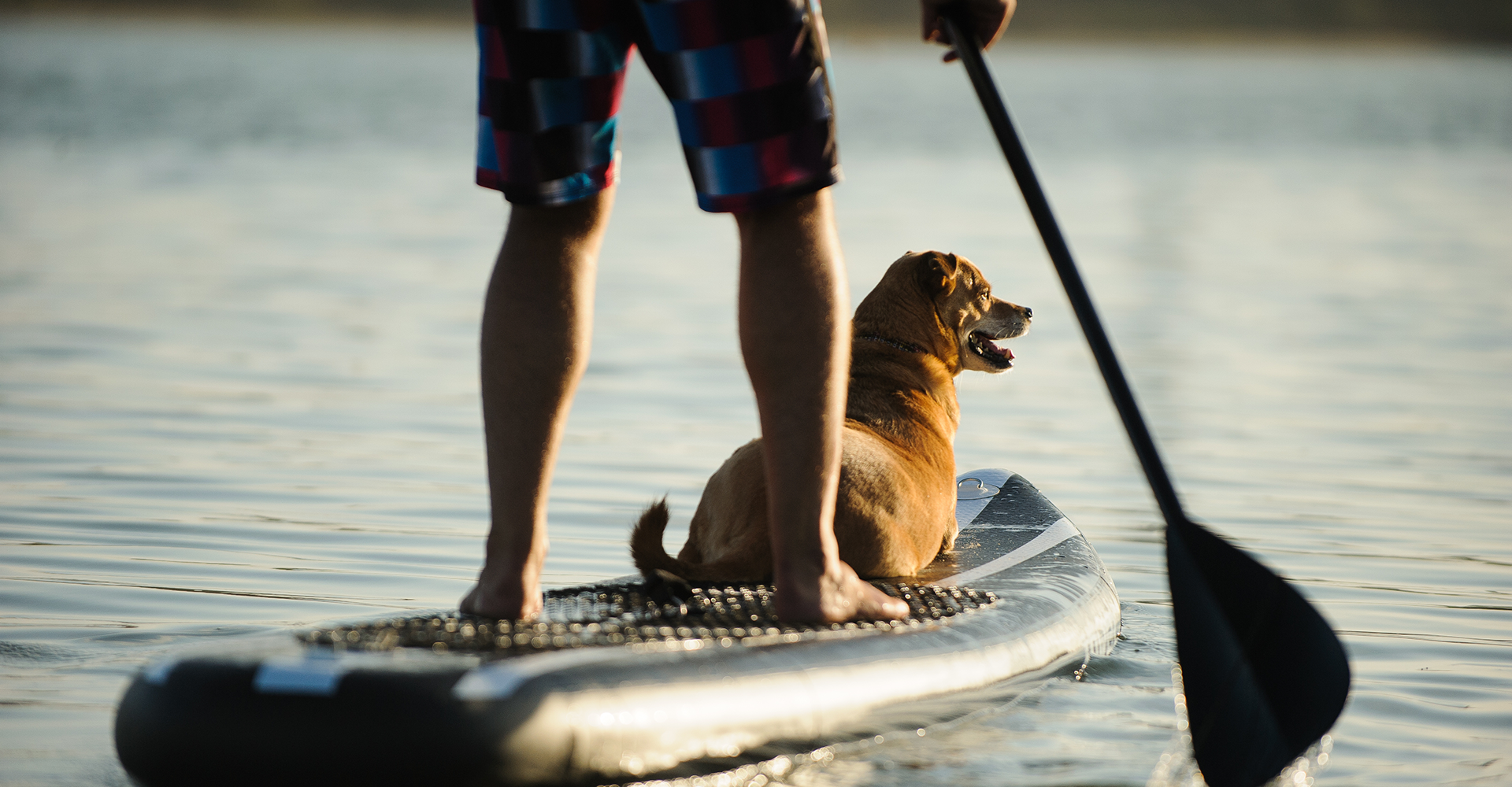 Evening Paddle