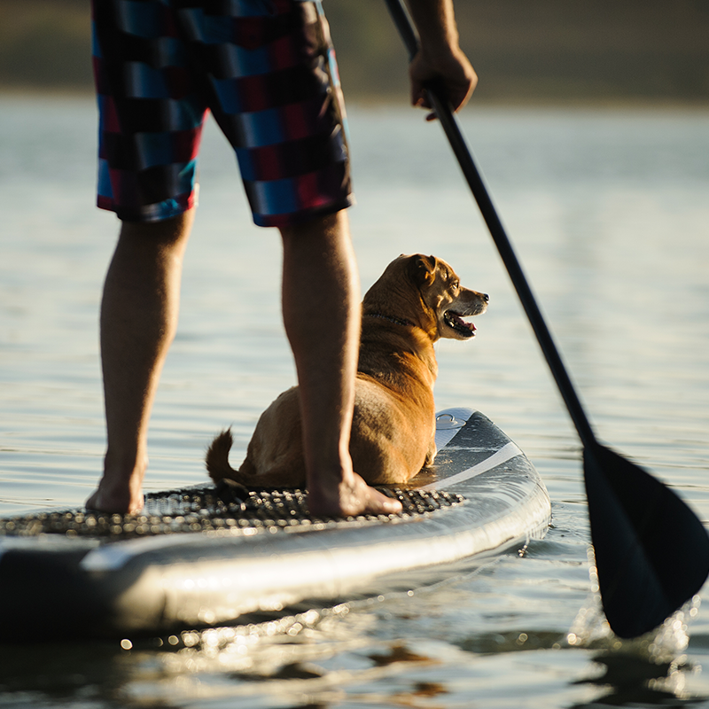 Paddle boarding